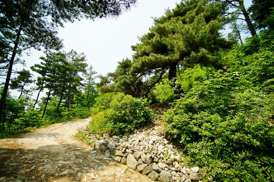 회덕마을 여행 추천 - 메고지고