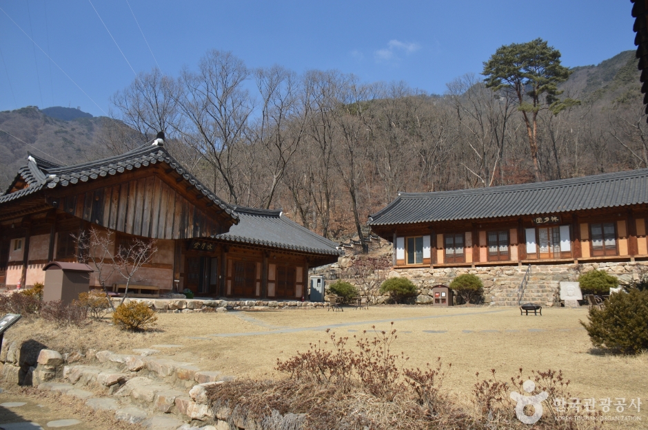 용문사(용문산) 여행 추천 - 메고지고 용문사(용문산) 여행 추천 - 메고지고