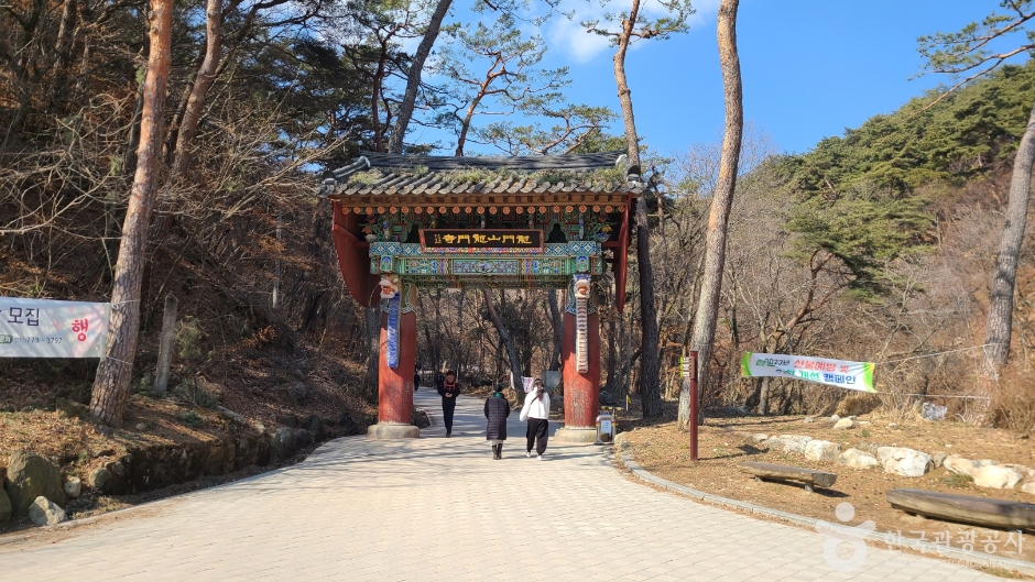 용문사(용문산) 여행 추천 - 메고지고 용문사(용문산) 여행 추천 - 메고지고