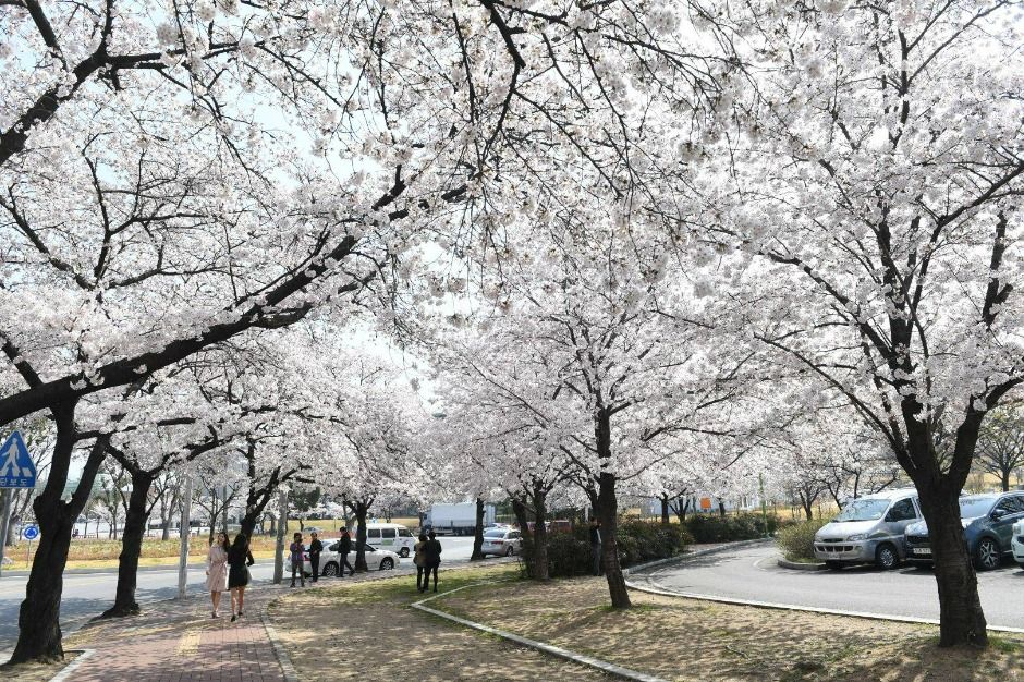 동촌유원지 여행 추천 - 메고지고 동촌유원지 여행 추천 - 메고지고