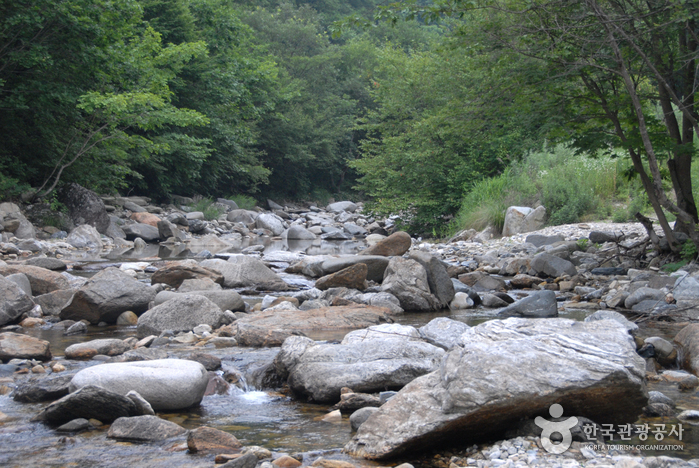 만산동계곡 여행 추천 - 메고지고 만산동계곡 여행 추천 - 메고지고
