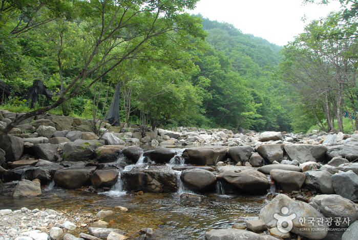 만산동계곡 여행 추천 - 메고지고 만산동계곡 여행 추천 - 메고지고