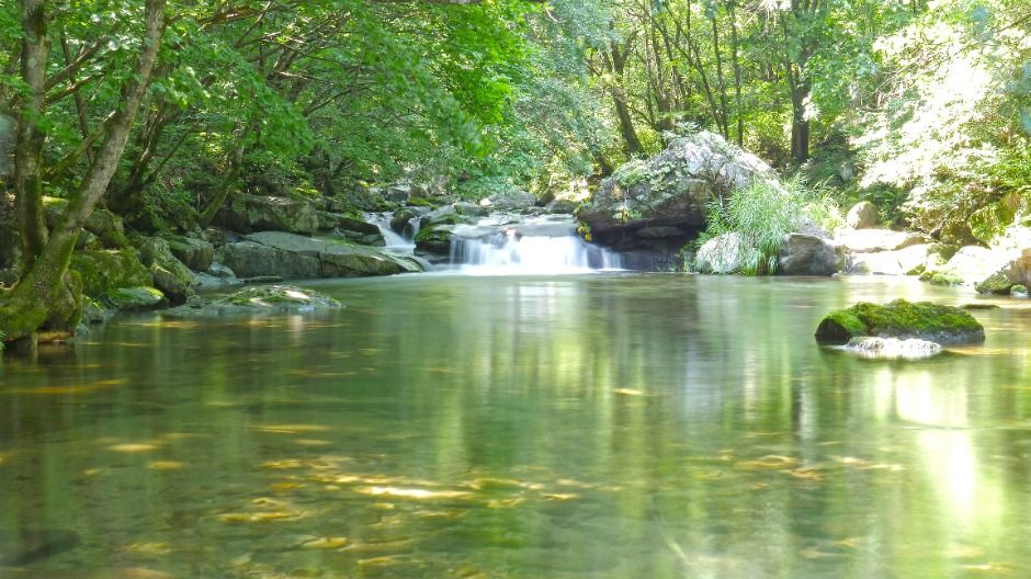 만산동계곡 여행 추천 - 메고지고 만산동계곡 여행 추천 - 메고지고