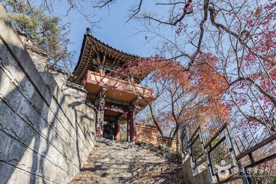 소림사(서울) 여행 추천 - 메고지고 소림사(서울) 여행 추천 - 메고지고