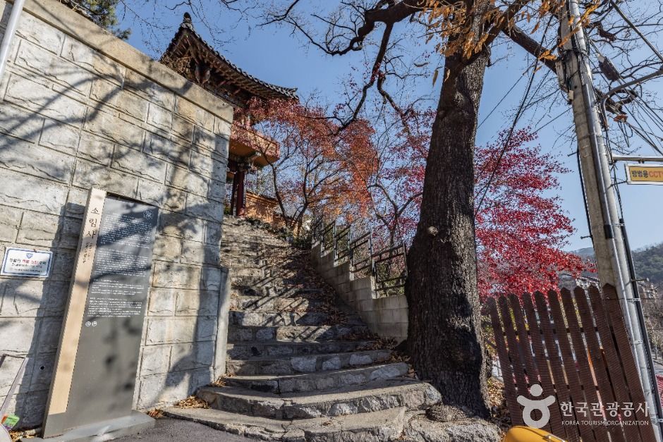 소림사(서울) 여행 추천 - 메고지고 소림사(서울) 여행 추천 - 메고지고