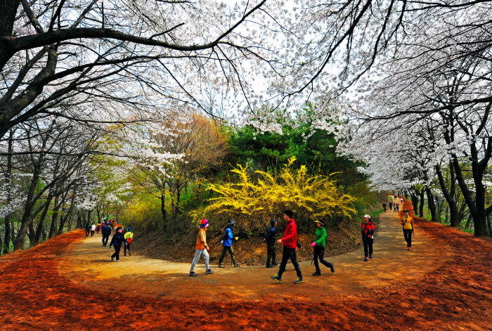 계족산 황톳길 여행 추천 - 메고지고 계족산 황톳길 여행 추천 - 메고지고