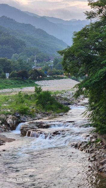 법흥캠핑장 여행 추천 - 메고지고 법흥캠핑장 여행 추천 - 메고지고