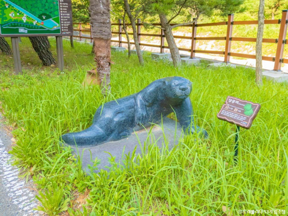 수달생태공원 여행 추천 - 메고지고