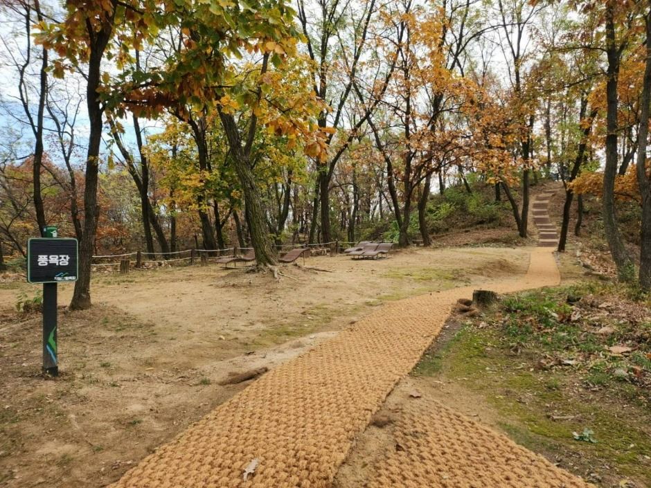 자일산림욕장 여행 추천 - 메고지고 자일산림욕장 여행 추천 - 메고지고