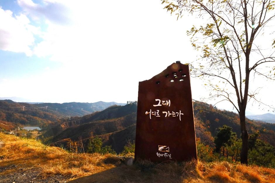 한티가는길 여행 추천 - 메고지고 한티가는길 여행 추천 - 메고지고