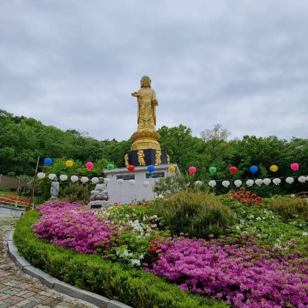 불광사(광주) 여행 추천 - 메고지고 불광사(광주) 여행 추천 - 메고지고