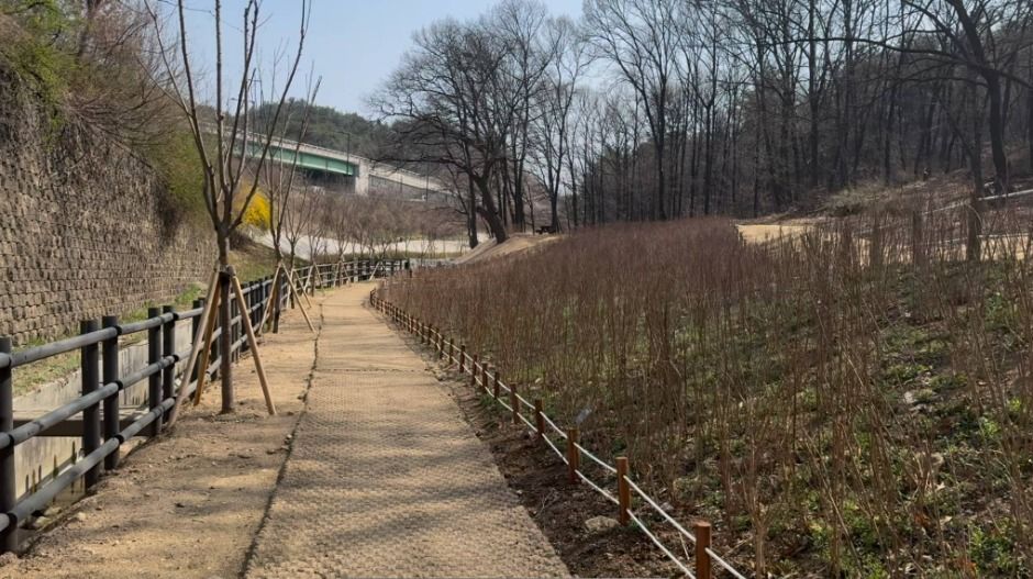 장암숲늘품길 여행 추천 - 메고지고