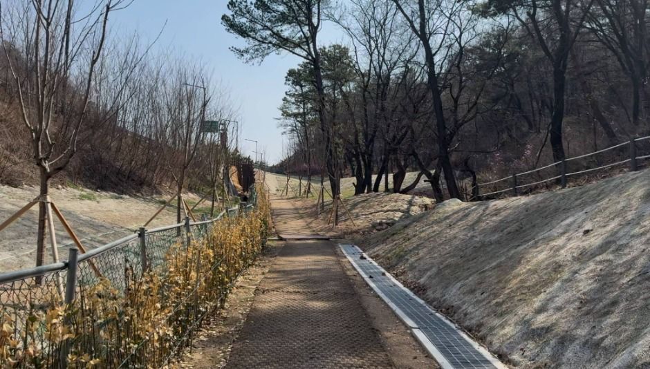 장암숲늘품길 여행 추천 - 메고지고
