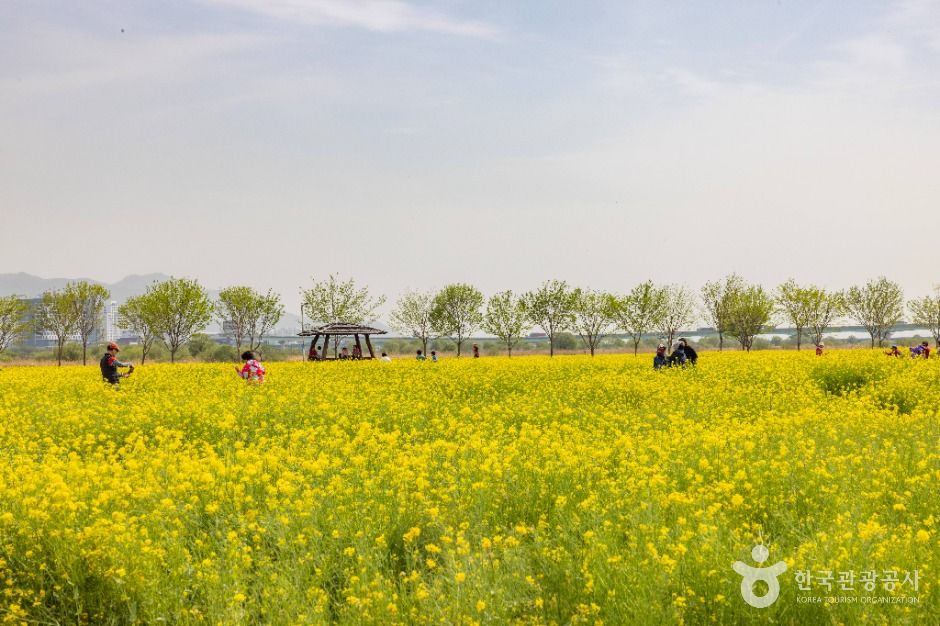 대저생태공원 여행 추천 - 메고지고 대저생태공원 여행 추천 - 메고지고