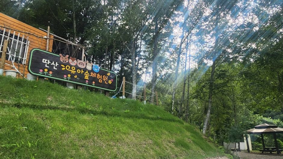 딴산 여행 추천 - 메고지고 딴산 여행 추천 - 메고지고