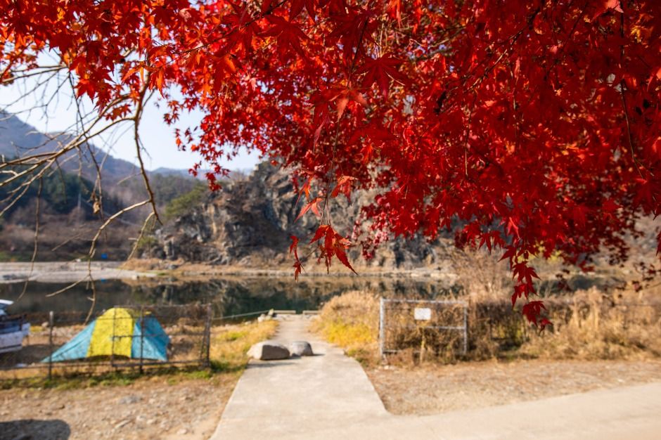 딴산 여행 추천 - 메고지고 딴산 여행 추천 - 메고지고