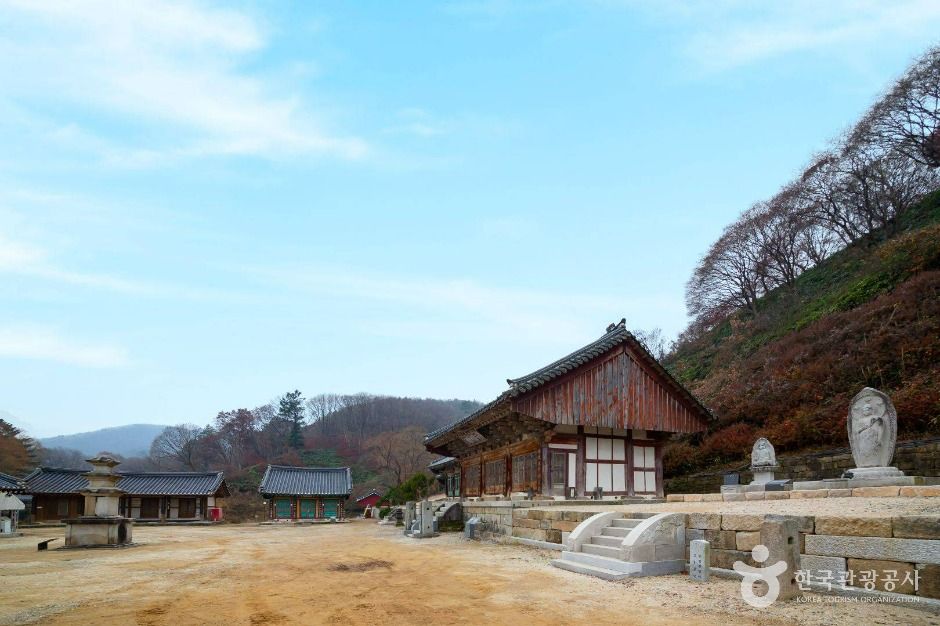 칠장사(안성) 여행 추천 - 메고지고 칠장사(안성) 여행 추천 - 메고지고