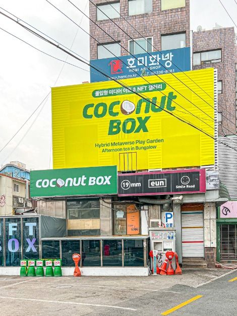 코코넛박스 여행 추천 - 메고지고 코코넛박스 여행 추천 - 메고지고