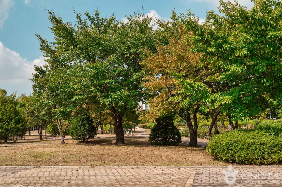 부평공원 여행 추천 - 메고지고 부평공원 여행 추천 - 메고지고