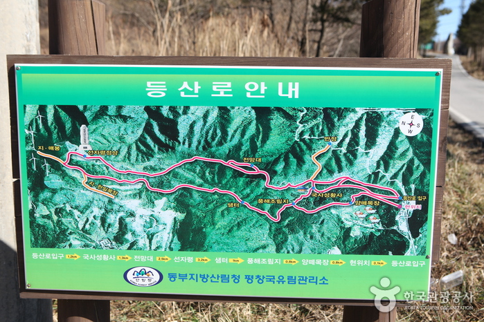[강릉 바우길 1구간] 선자령 풍차길 여행 추천 - 메고지고