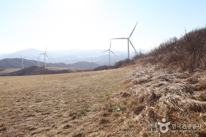 [강릉 바우길 1구간] 선자령 풍차길 여행 추천 - 메고지고