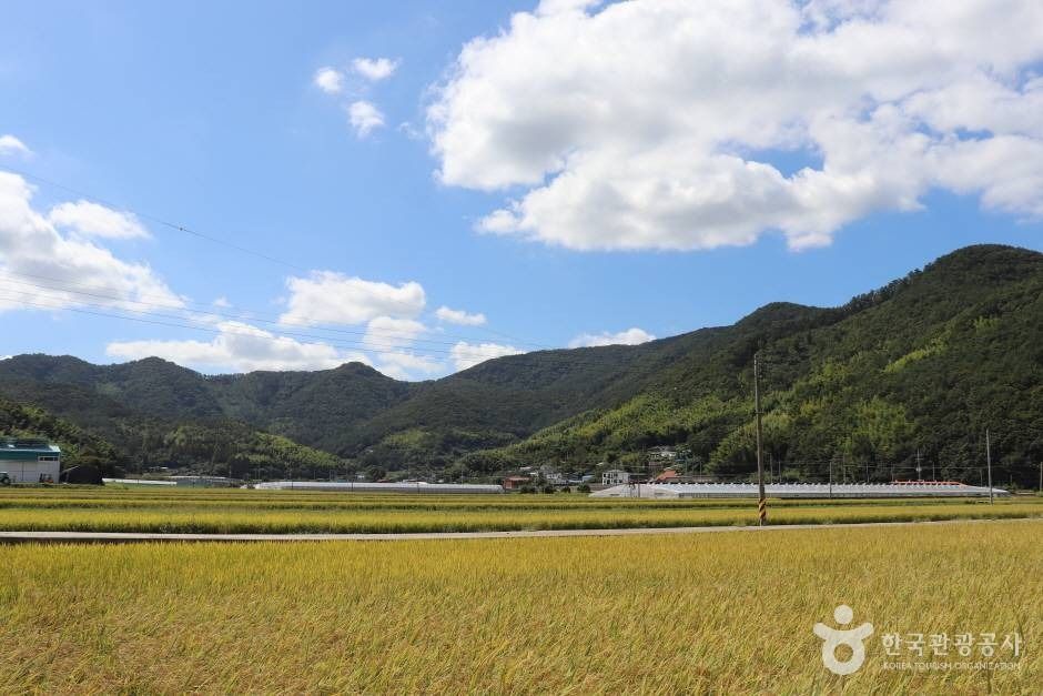 앵산 여행 추천 - 메고지고 앵산 여행 추천 - 메고지고