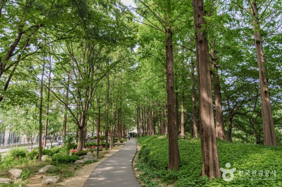 양재천 근린공원 여행 추천 - 메고지고 양재천 근린공원 여행 추천 - 메고지고
