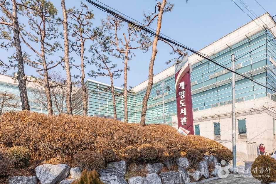 인천 계양도서관 여행 추천 - 메고지고 인천 계양도서관 여행 추천 - 메고지고