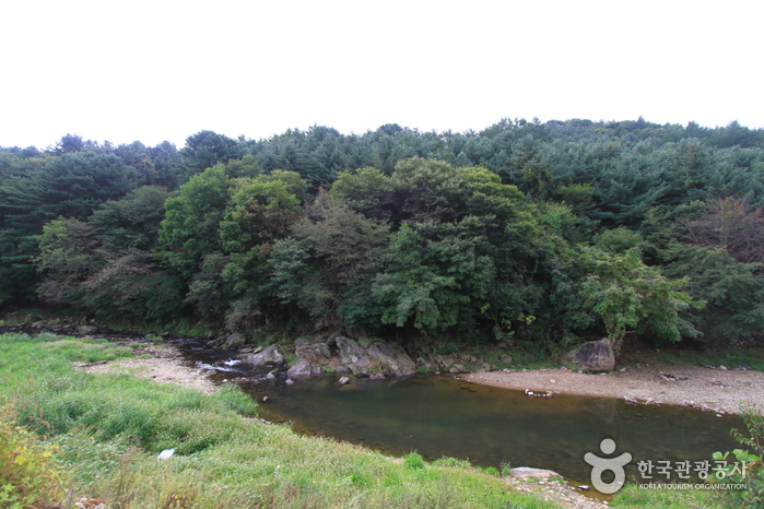 박달산(파주) 여행 추천 - 메고지고