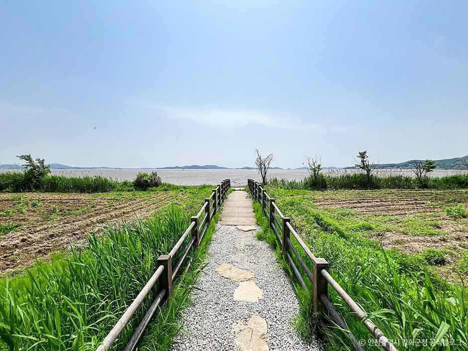 후애돈대 여행 추천 - 메고지고 후애돈대 여행 추천 - 메고지고