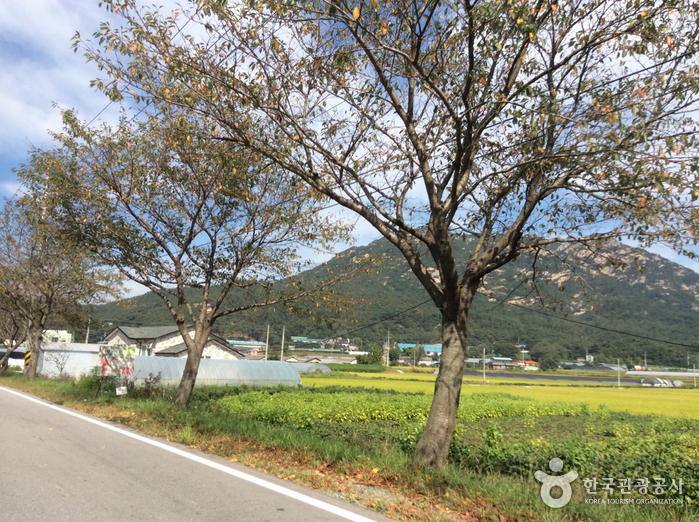 용봉산체험 정보화마을 여행 추천 - 메고지고 용봉산체험 정보화마을 여행 추천 - 메고지고