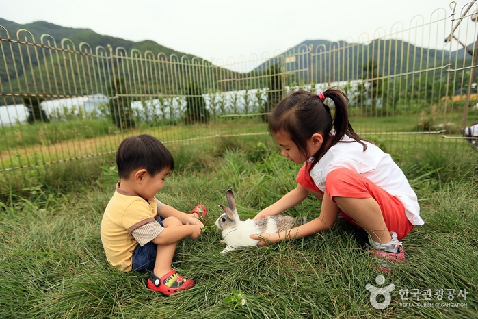 애심목장 여행 추천 - 메고지고 애심목장 여행 추천 - 메고지고