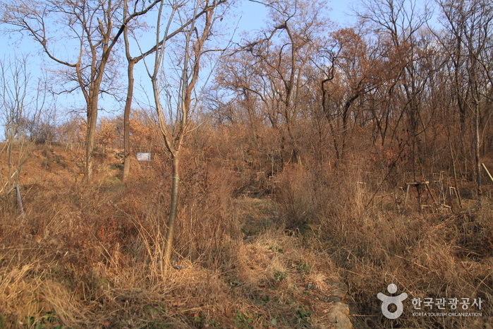 망우산(서울) 여행 추천 - 메고지고