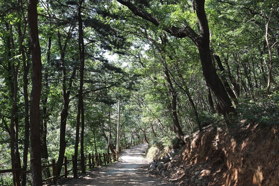 [군산 구불길] 구불3길 큰들길 여행 추천 - 메고지고