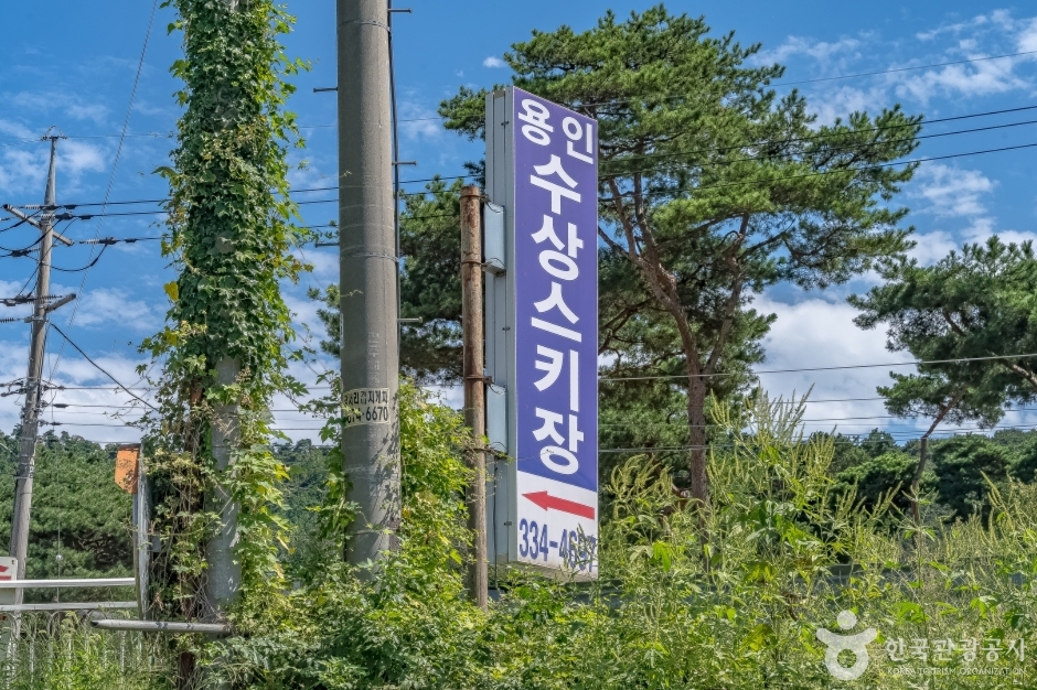 용인수상스키장 여행 추천 - 메고지고
