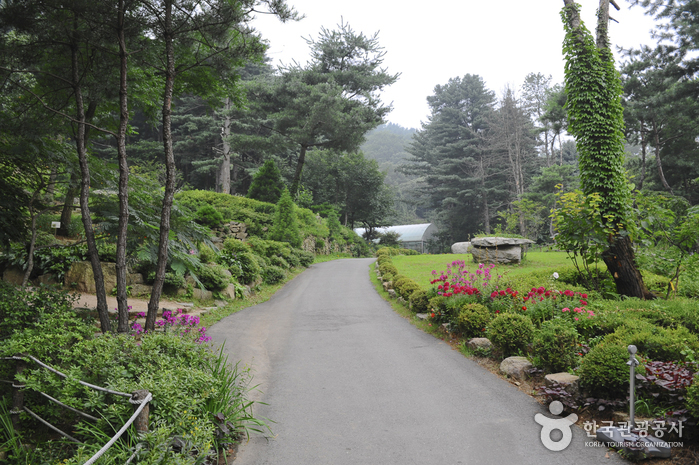 장흥자생수목원 여행 추천 - 메고지고 장흥자생수목원 여행 추천 - 메고지고