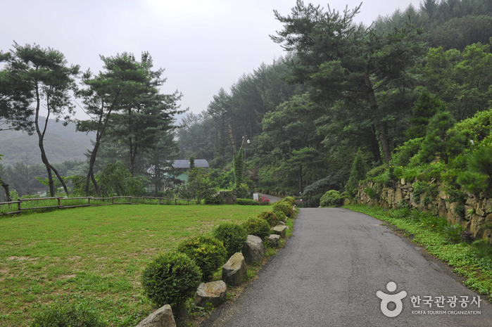 장흥자생수목원 여행 추천 - 메고지고 장흥자생수목원 여행 추천 - 메고지고