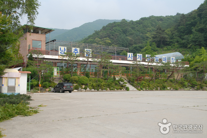 낭추골현장체험학습원 눈썰매장 여행 추천 - 메고지고 낭추골현장체험학습원 눈썰매장 여행 추천 - 메고지고