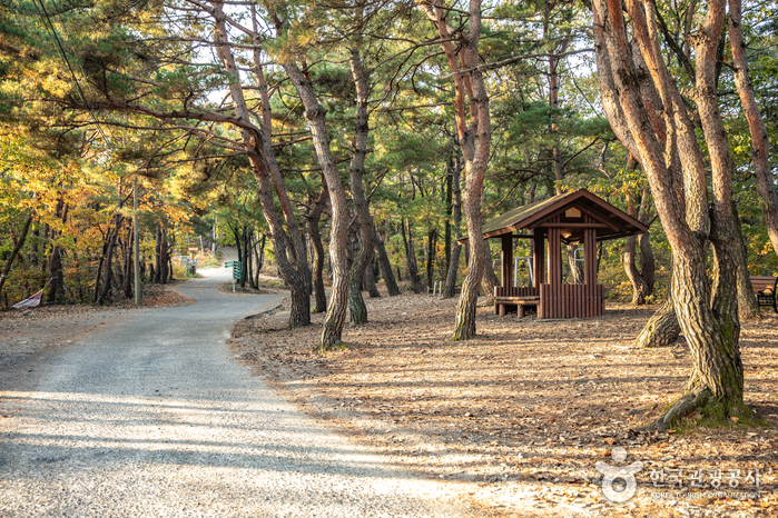 운제산 여행 추천 - 메고지고 운제산 여행 추천 - 메고지고
