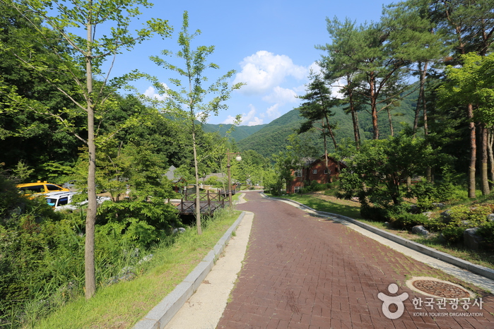 화천 명품DMZ코스 여행 추천 - 메고지고 화천 명품DMZ코스 여행 추천 - 메고지고