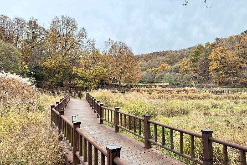 원수산습지생태원 여행 추천 - 메고지고
