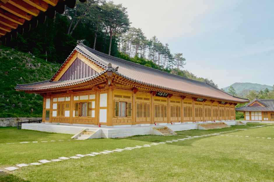 오대산 자연명상마을 옴뷔 여행 추천 - 메고지고 오대산 자연명상마을 옴뷔 여행 추천 - 메고지고