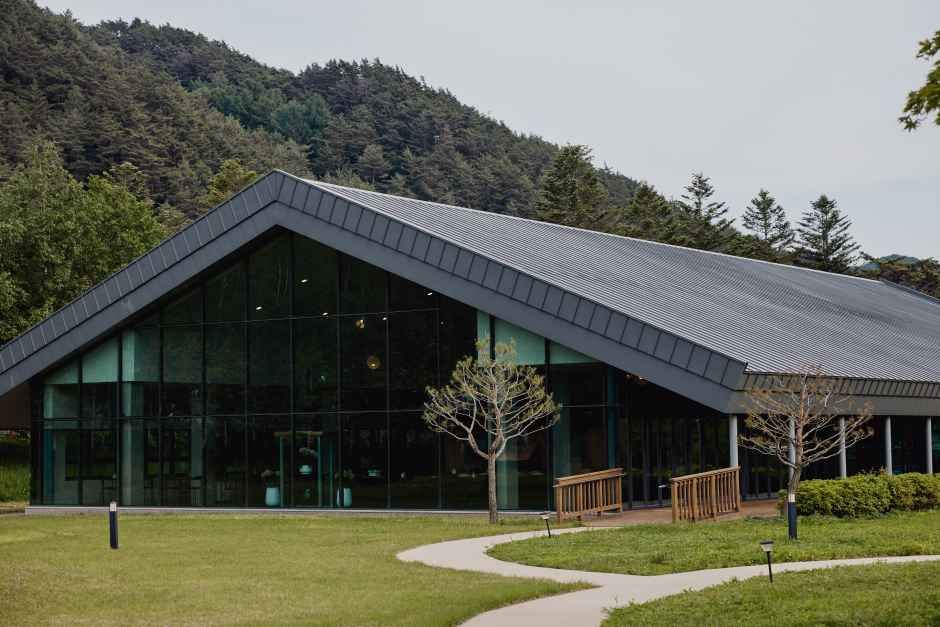 오대산 자연명상마을 옴뷔 여행 추천 - 메고지고 오대산 자연명상마을 옴뷔 여행 추천 - 메고지고
