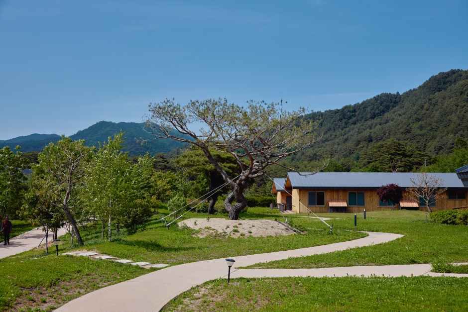 오대산 자연명상마을 옴뷔 여행 추천 - 메고지고 오대산 자연명상마을 옴뷔 여행 추천 - 메고지고