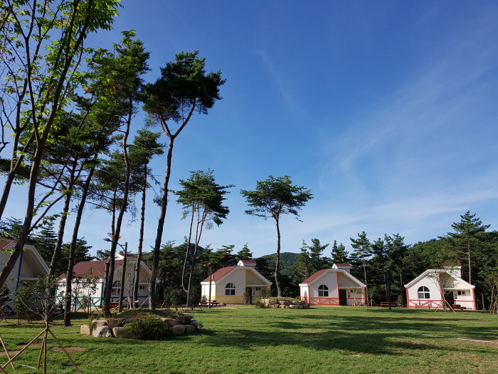 국립 달음산자연휴양림 여행 추천 - 메고지고