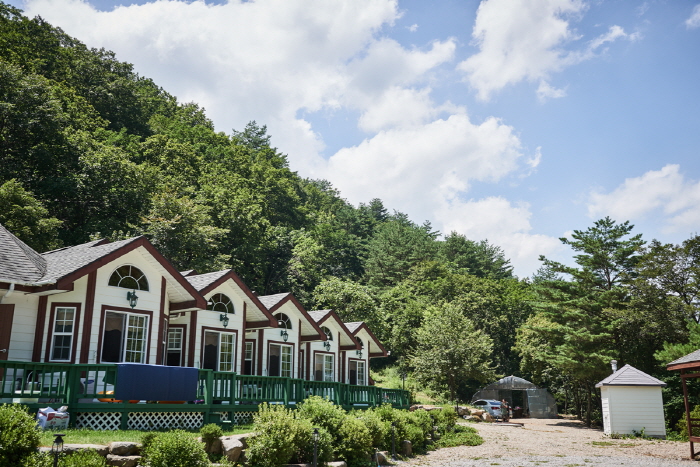 수림대마을 여행 추천 - 메고지고 수림대마을 여행 추천 - 메고지고