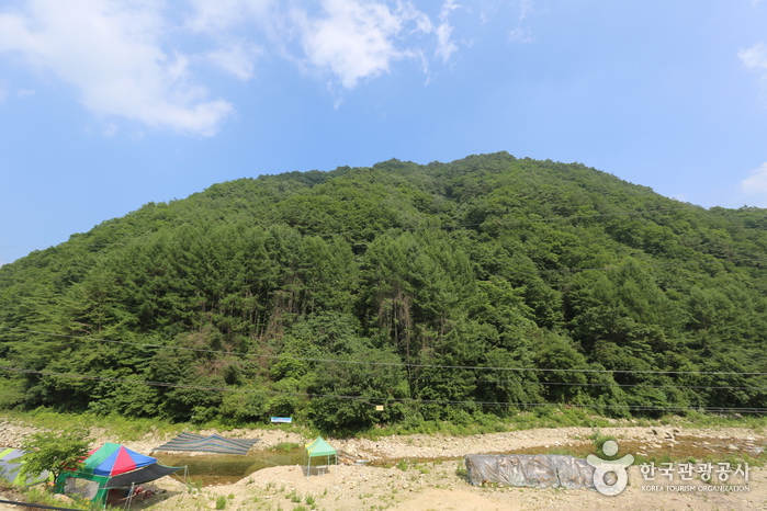 구룡산(강원) 여행 추천 - 메고지고 구룡산(강원) 여행 추천 - 메고지고