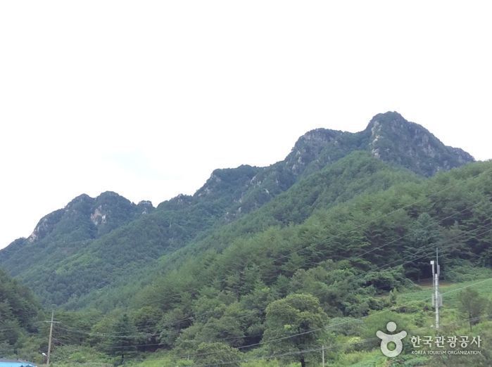 선바위산(영월) 여행 추천 - 메고지고 선바위산(영월) 여행 추천 - 메고지고