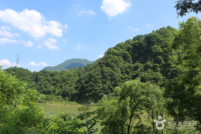 태화산(강원) 여행 추천 - 메고지고 태화산(강원) 여행 추천 - 메고지고