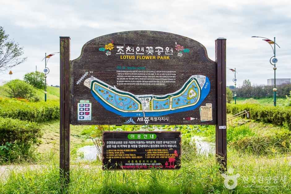 조천연꽃공원 여행 추천 - 메고지고 조천연꽃공원 여행 추천 - 메고지고